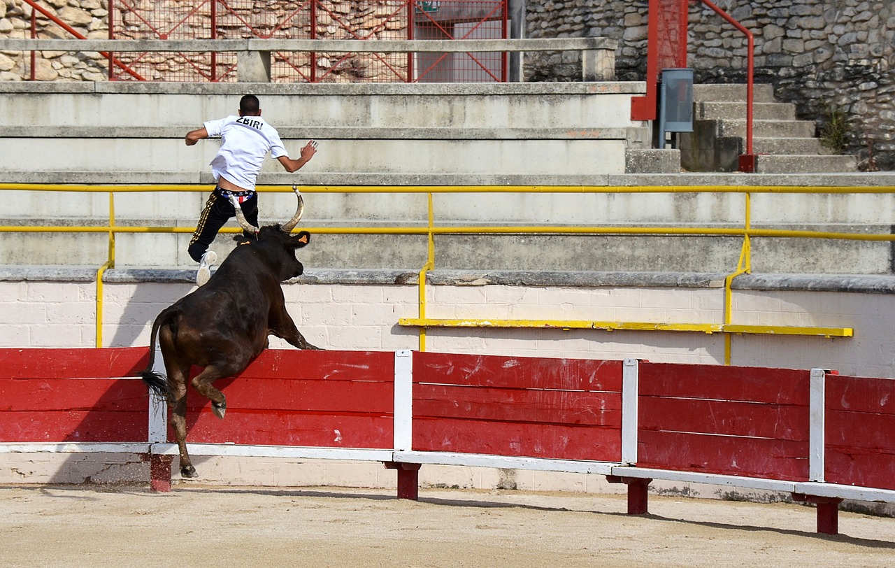 之路为其他