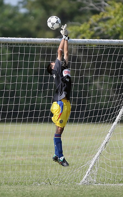 就的信息 就的信息