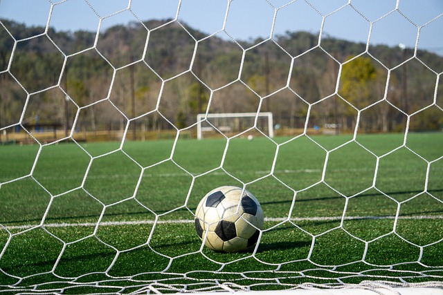 个人能力的 个人能力的