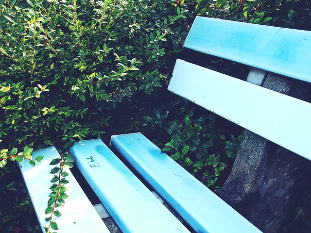 得尤为重要 得尤为重要