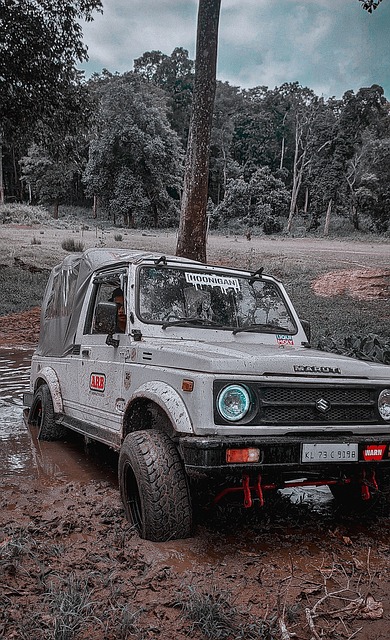 减少他在进 减少他在进